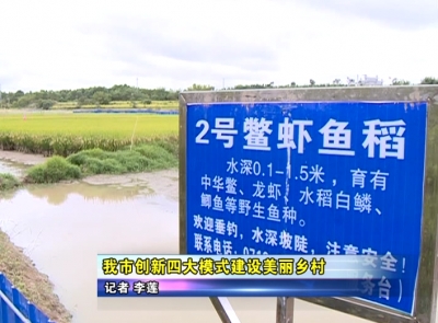 应城市创新四大模式建设美丽乡村 