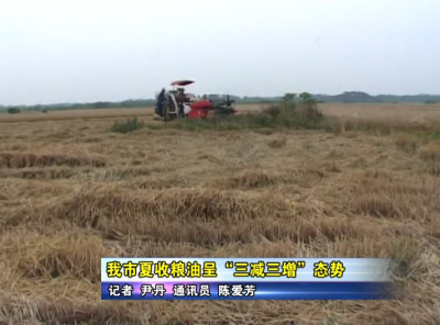 应城市夏收粮油呈“三减三增”态势