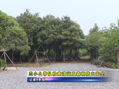 兰小么带队检查渡运及森林防火安全