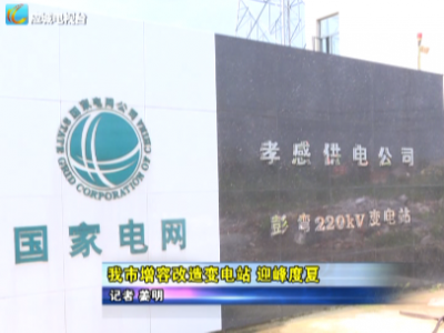 【喜迎十九大 聚焦一号工程】应城市增容改造变电站 迎峰度夏        
