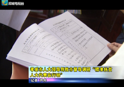 陈鸿杰到应城市督导调研“精准扶贫·人大代表在行动”
