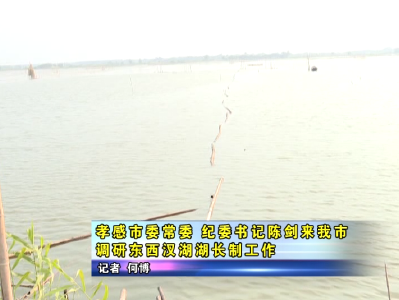 孝感市委常委、纪委书记陈剑到应城市调研东西汊湖湖长制工作