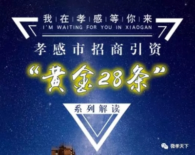 【速戳】关于孝感招商引资“黄金28条”，各大派系网友纷纷发言啦！你还不来看看吗！