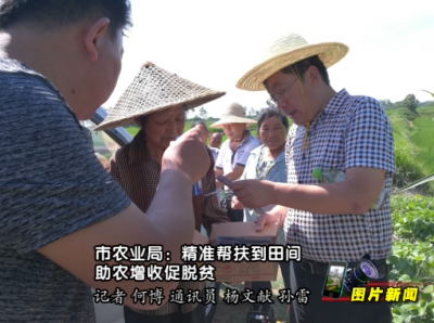 【图片新闻】应城市农业局：精准帮扶到田间  助农增收促脱贫