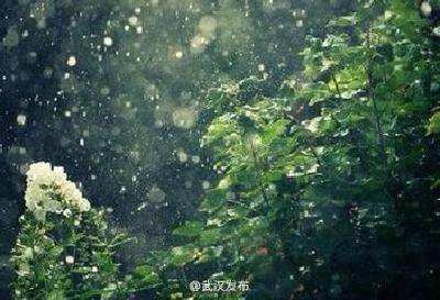湖北|今起三天有阵雨 武汉最高温或降至35℃