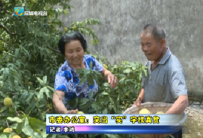 【扶贫日记】应城市委办公室：突出“实”字扶真贫   