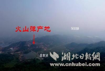 湖北|湖北黄石发现罕见