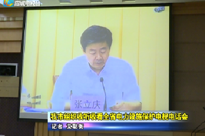 应城市组织收听收看全省电力设施保护电视电话会 