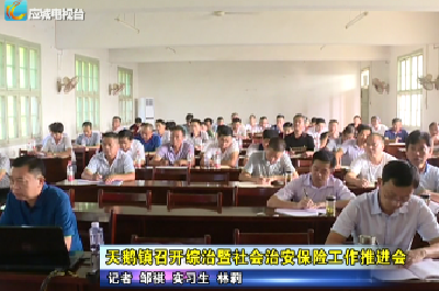天鹅镇召开综治暨社会治安保险工作推进会