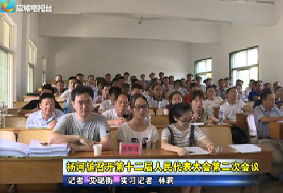 杨河镇召开第十二届人民代表大会第二次会议