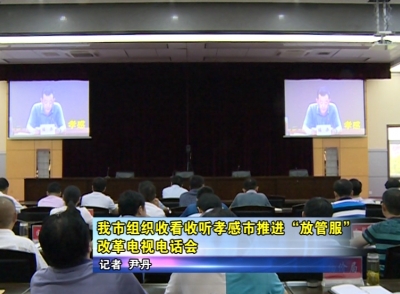 应城市组织收看收听孝感市推进“放管服”改革电视电话会