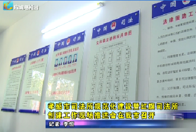 孝感市司法所规范化建设暨红旗司法所创建工作现场推进会在我市召开   