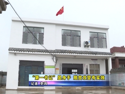 “第一书记”显身手  脱贫攻坚有实效 
