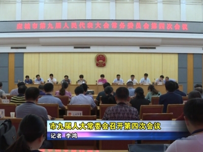 应城市九届人大常委会召开第四次会议        