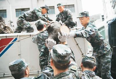 时政|解放军首次在澳门地区救灾纪实:祖国始终是坚强后盾