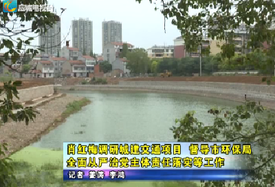 肖红梅调研城建交通项目  督导市环保局全面从严治党主体责任落实等工作   