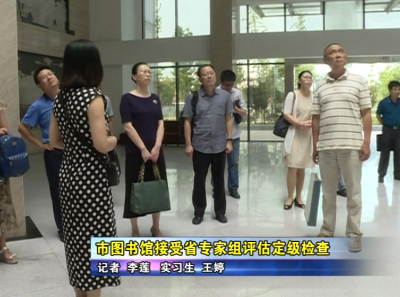 应城市图书馆接受省专家组评估定级检查