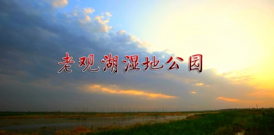 孝感市老观湖湿地公园建设协调会在应城市召开