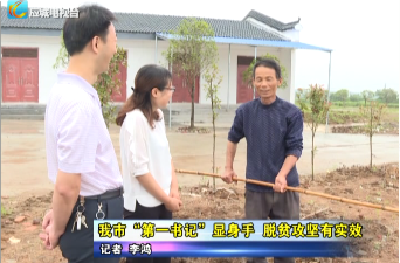 应城市“第一书记”显身手  脱贫攻坚有实效