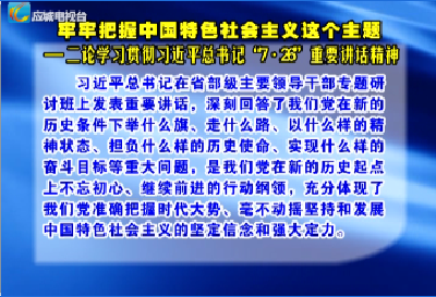 牢牢把握中国特色社会主义这个主题 ——二论学习贯彻习近平总书记“7·26”重要讲话精神