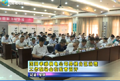 国网孝感供电公司异损台区治理工作现场会在应城市召开