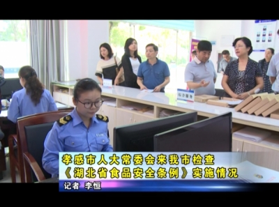 孝感市人大常委会领导来应城市调研