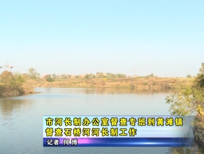 应城市河长制办公室督查专班到黄滩镇督查石桥河河长制工作