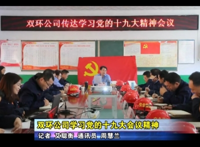 双环公司学习党的十九大会议精神