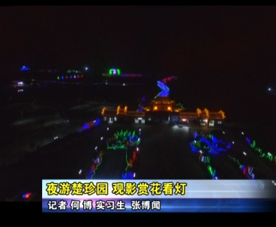 夜游楚珍园 观影赏花看灯