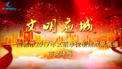 2017年度应城市文明单位创建成果展播——文体新局