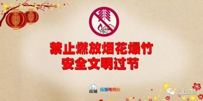 在阖家团聚的日子里  禁鞭这个事，要跟大家再说一说！