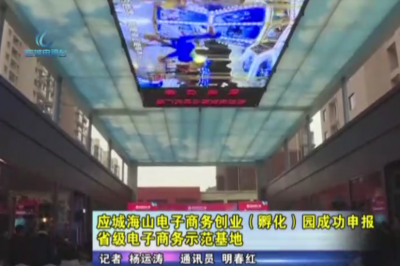 应城海山电子商务创业（孵化）园成功申报省级电子商务示范基地