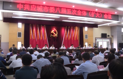 图说全会 | 中国共产党应城市第八届委员会第五次全体（扩大）会议精神