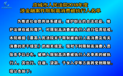 应城市人民法院2018年度涉金融案件限制高消费被执行人名单