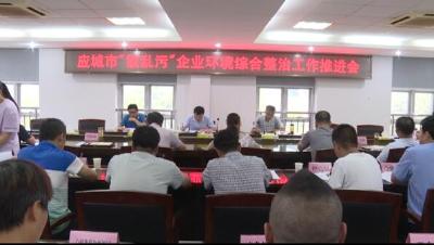 我市召开“散乱污”企业环境综合整治工作推进会