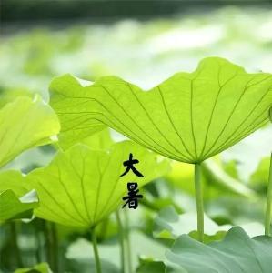 高温预警！今日大暑，夏天中的夏天来了，你准备好了吗？