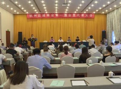 杭州应城商会第一届会员代表大会召开