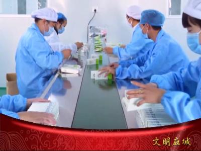 应城市经济开发区