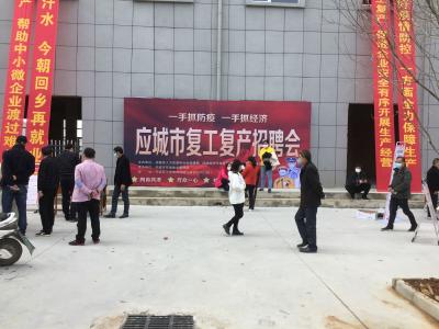 应城|城首场复工复产招聘会供需形势看好 共提供岗位625个 达成初步就业意向811人