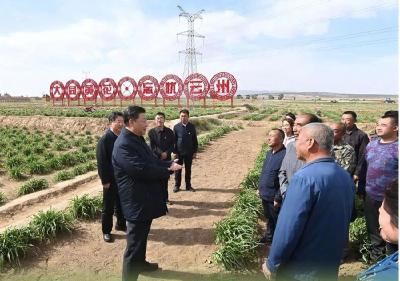 第一观察｜从“吃得饱”到“吃得好”——总书记眼中的“小康菜谱”