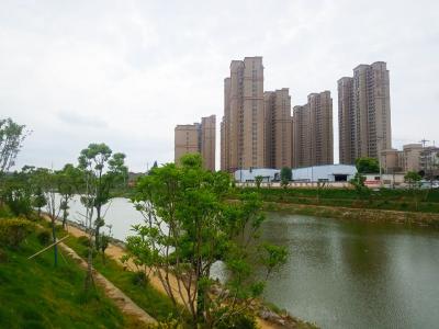 应城市委书记程涛巡河时强调：持续发力 久久为功 推动河湖治理取得新成效