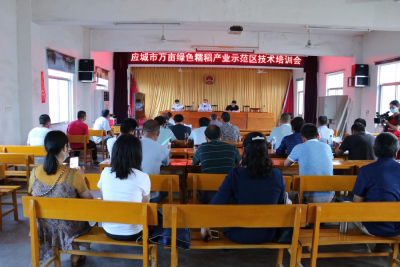 应城开展万亩绿色糯稻产业示范区技术培训 幅射带动农业集成新技术应用