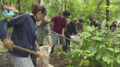 鏖战汛情保安澜——大富水老县河防汛分指挥部防汛抗灾工作侧记