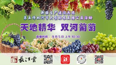 直播 | 天地精华 双河葡萄——新疆第五师双河市大型助农直播公益活动
