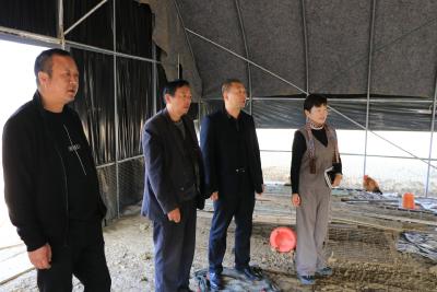 独臂大哥李春华“单手撑天”当上养殖达人
