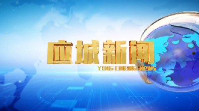《应城新闻》2020年12月30日