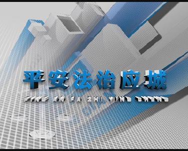平安法治应城（2020.12.3）