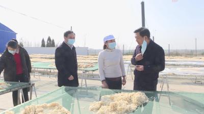 【应城】走访看望全国人大代表 听取和征求工作意见建议