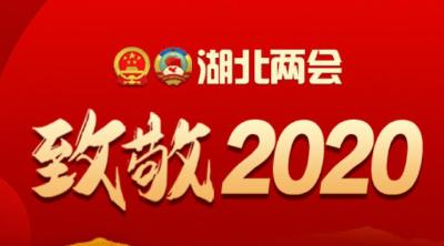 专题|湖北两会 致敬2020