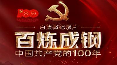 中国共产党的100年第25集